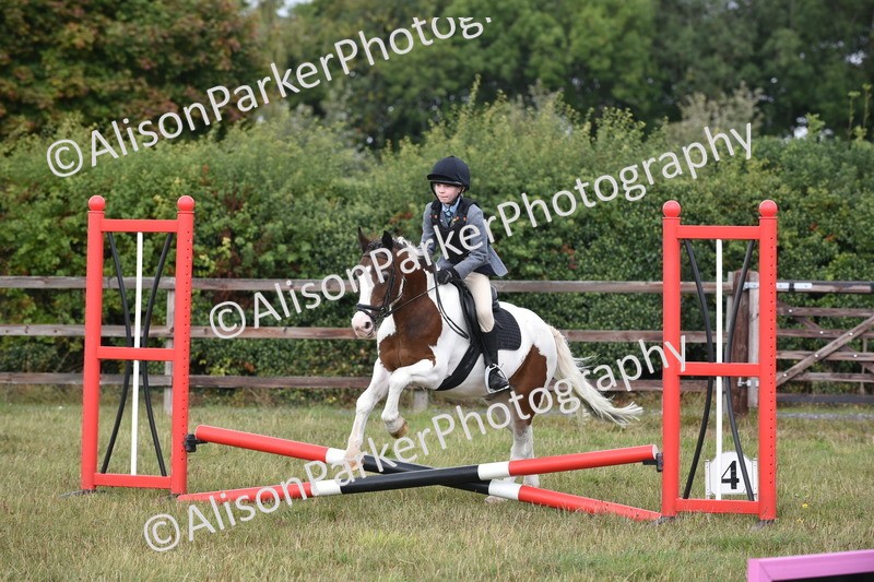 20250831-1772 - Class 8 - Hoof and Foot