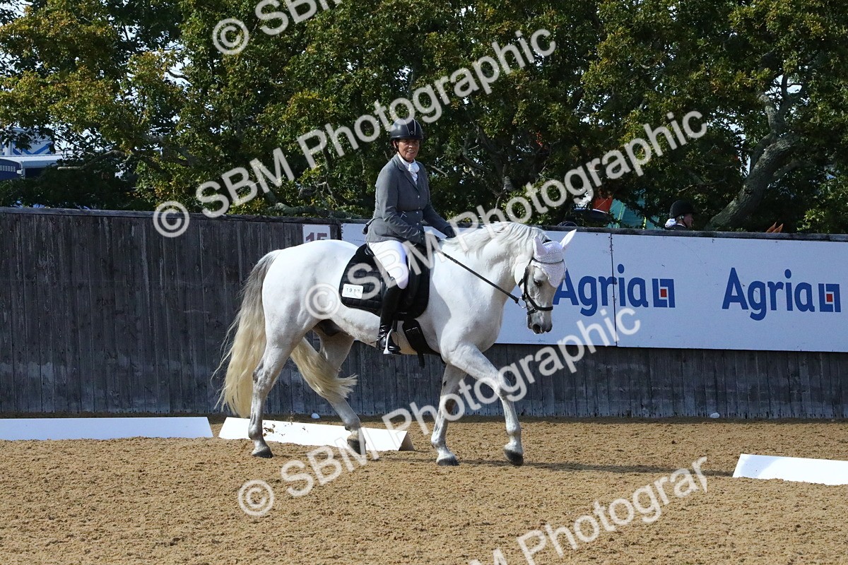 SBM_24467 - D5 - Small Tour Championshop Intro 2