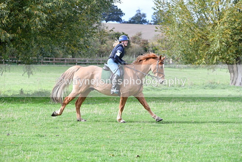 WJ5_0463 - Time 13:59 to 14:28