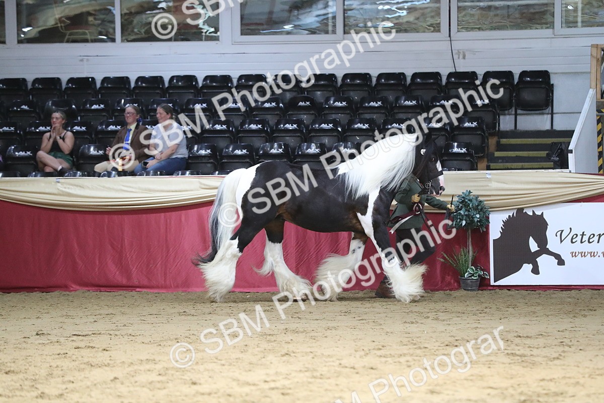 SBM_06481 - Class 9R Regional- IH Pre Vet