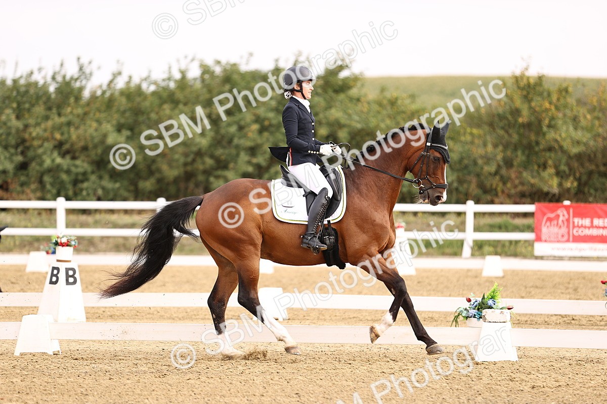 SBM_011677 - Class 1 - Medium 5