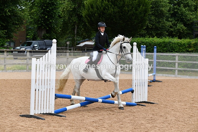 WJ5_6313 - Club 50cm