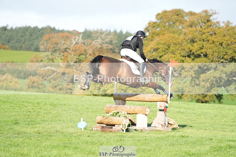 251024A-112029-07208 - A-017-Harrison.Chart