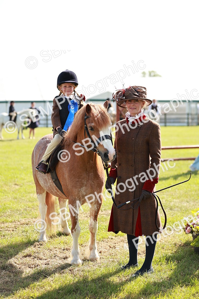 SBM_11307 - Class 106-107 - BSPS LIHS Working Sports Pony