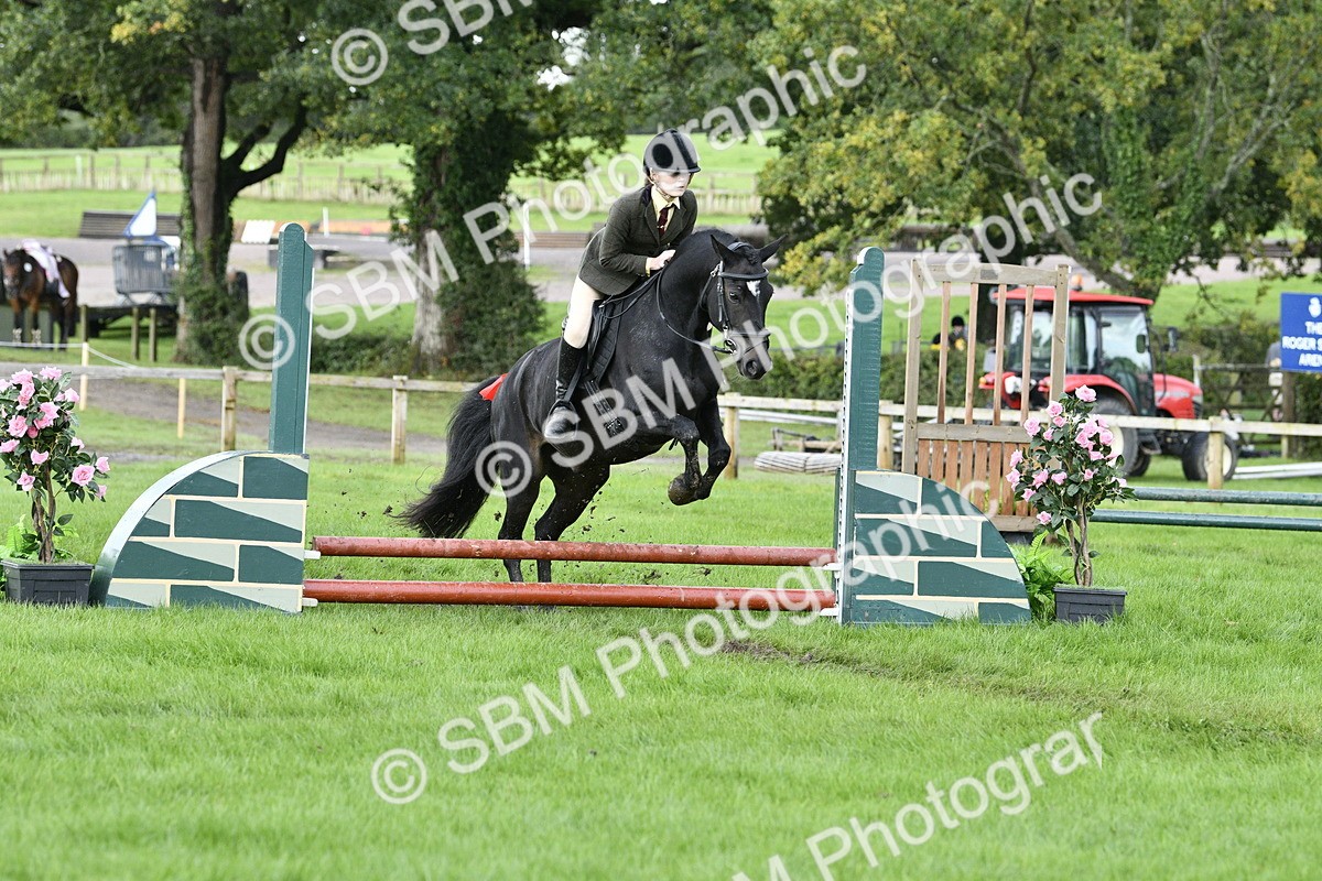 SBM_41502 - S32 - Mountain & Moorland Working Hunter Pony