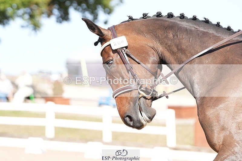 250817-154959-11811 - 204-Lysanne.VaseCafino