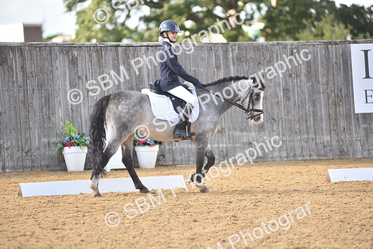 SBM_48823 - D22 - Junior Championship Intro 3