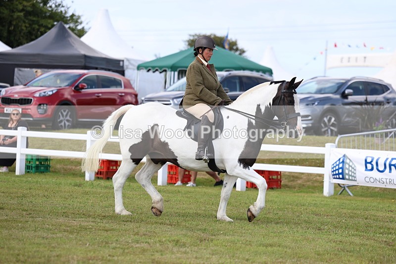 3E7A9651 - Class 5: Rising Star Lightweight/Heavyweight Cobs