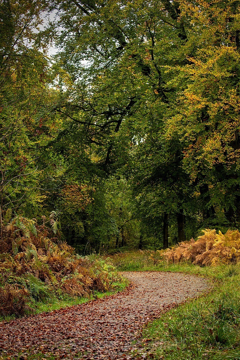  - Autumn