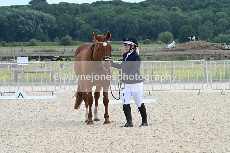 WJ7_8015 - Time 15:39 to 16:08