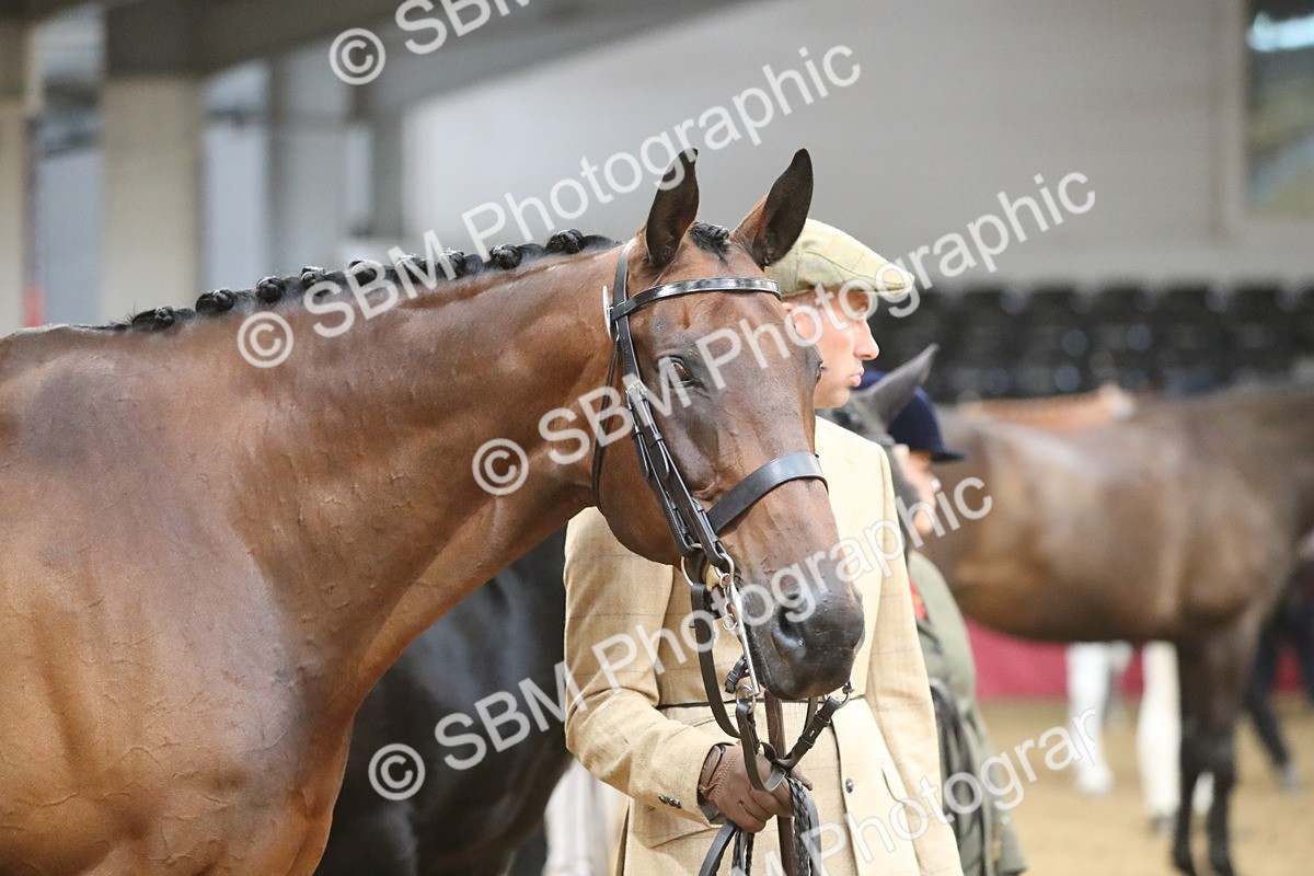 SBM_05665 - Class 9R - Regional IH Pre-Vet