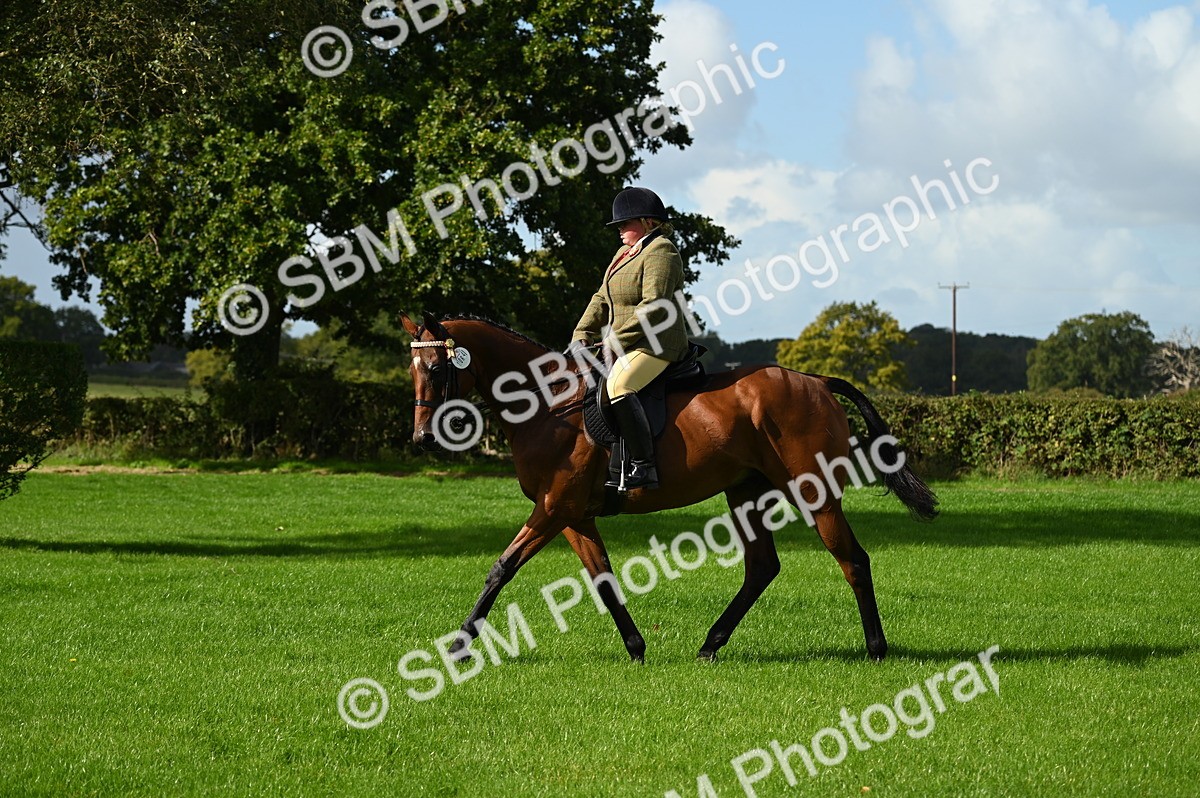 SBM_01667 - S2 - TSR Ridden Horse Showing