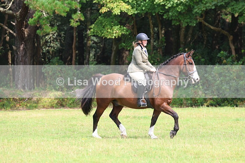 3E7A5845 - Class 26 and 27: 70cm Working Hunter