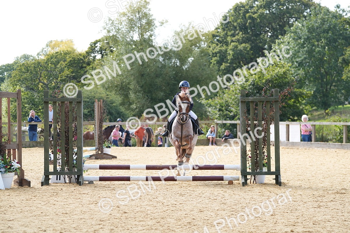 SBM_68319 - J3 - Mini Tour Junior Pony 40cm Championship
