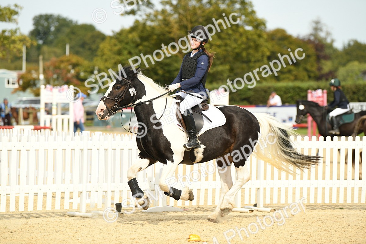 SBM_65310 - J48 - Pairs Jumping Open 70cm & 85cm