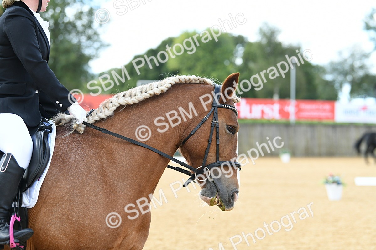 SBM_03095 - D7 Small Tour Championship Prelim 1