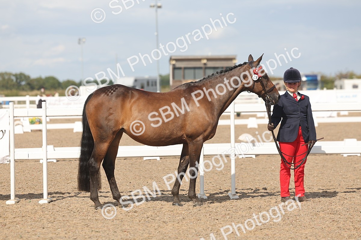 SBM_06829 - Class 25 - IH Foreign Breeds - Purebred