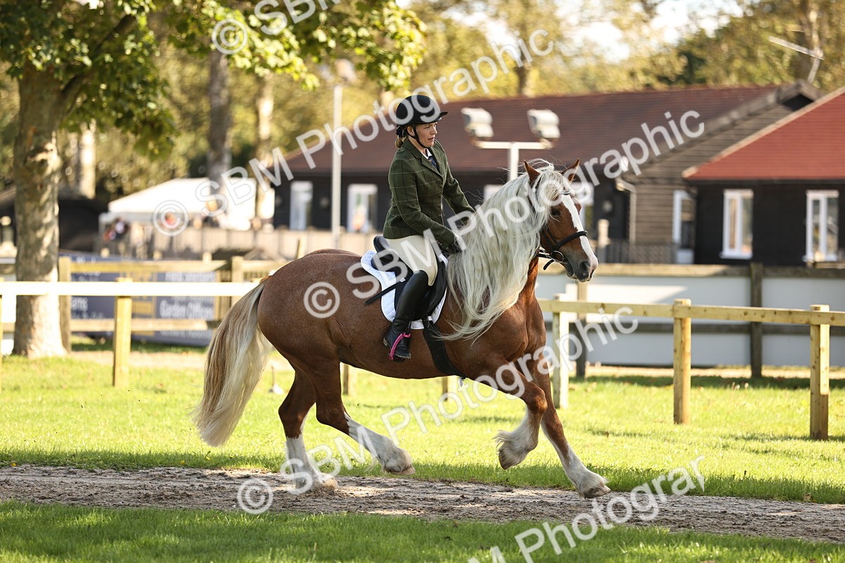 SBM_16959 - S2 - TSR Ridden Pony Showing
