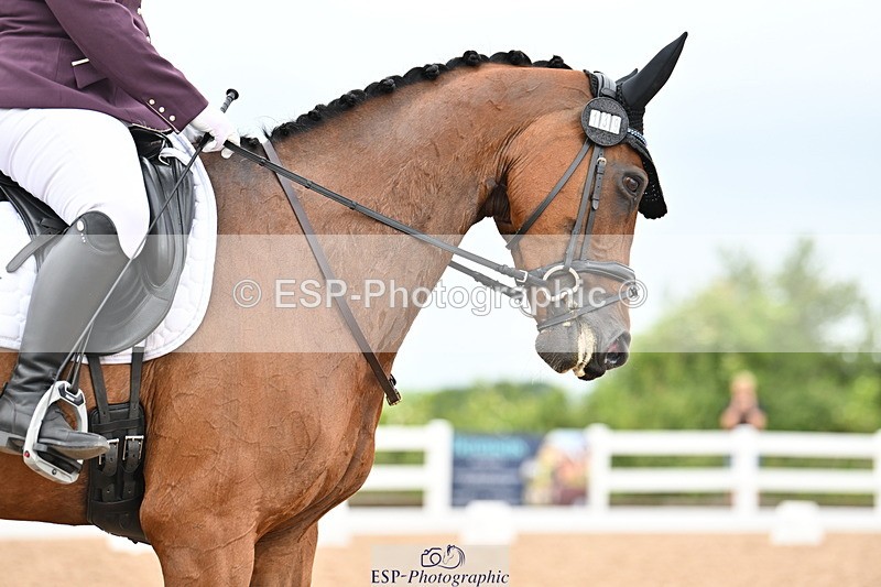 240623A-112651-17486 - Cls 48 BD Novice 37A