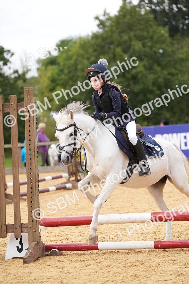 SBM_74788 - J4 - Mini Tour Junior Pony 45cm Championship