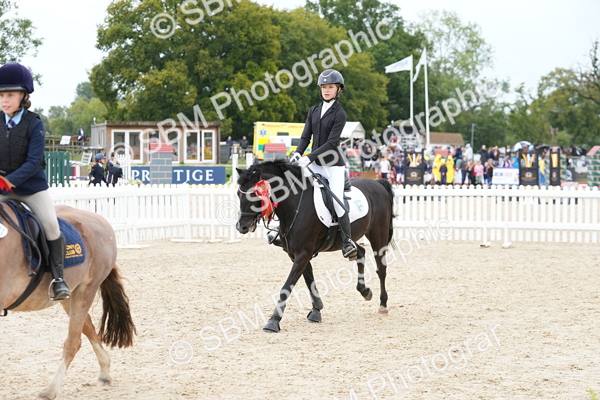 SBM_40920 - Supreme Championship Pony 50-55cm