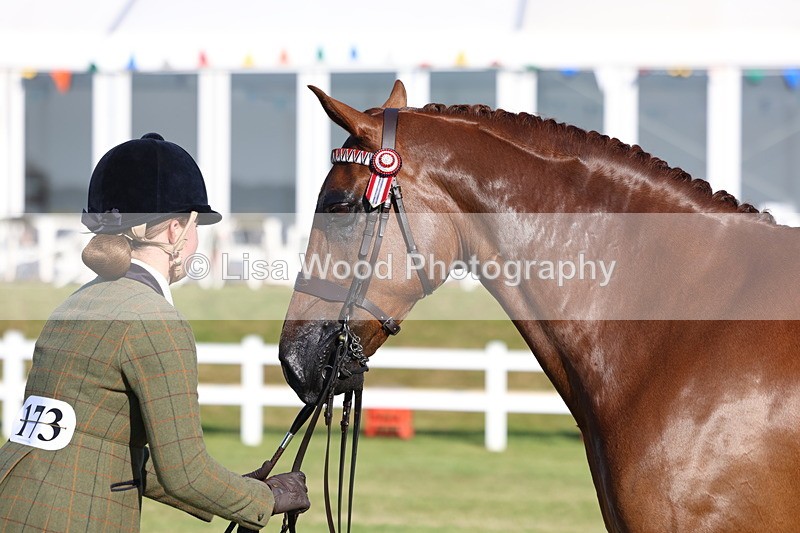 3E7A5134 - Class 1: Rising Star Small Hack/Riding Horses
