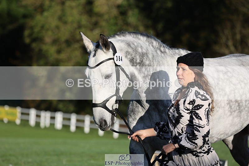 241027-084554-14805 - 384-Kerri.Mcnicol-CALGARY