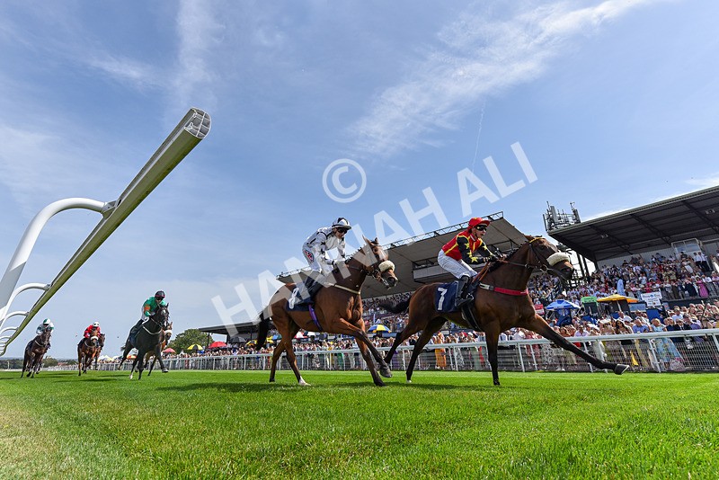 130825-Race 1-Arduis Invicta-2-2 - Race 1