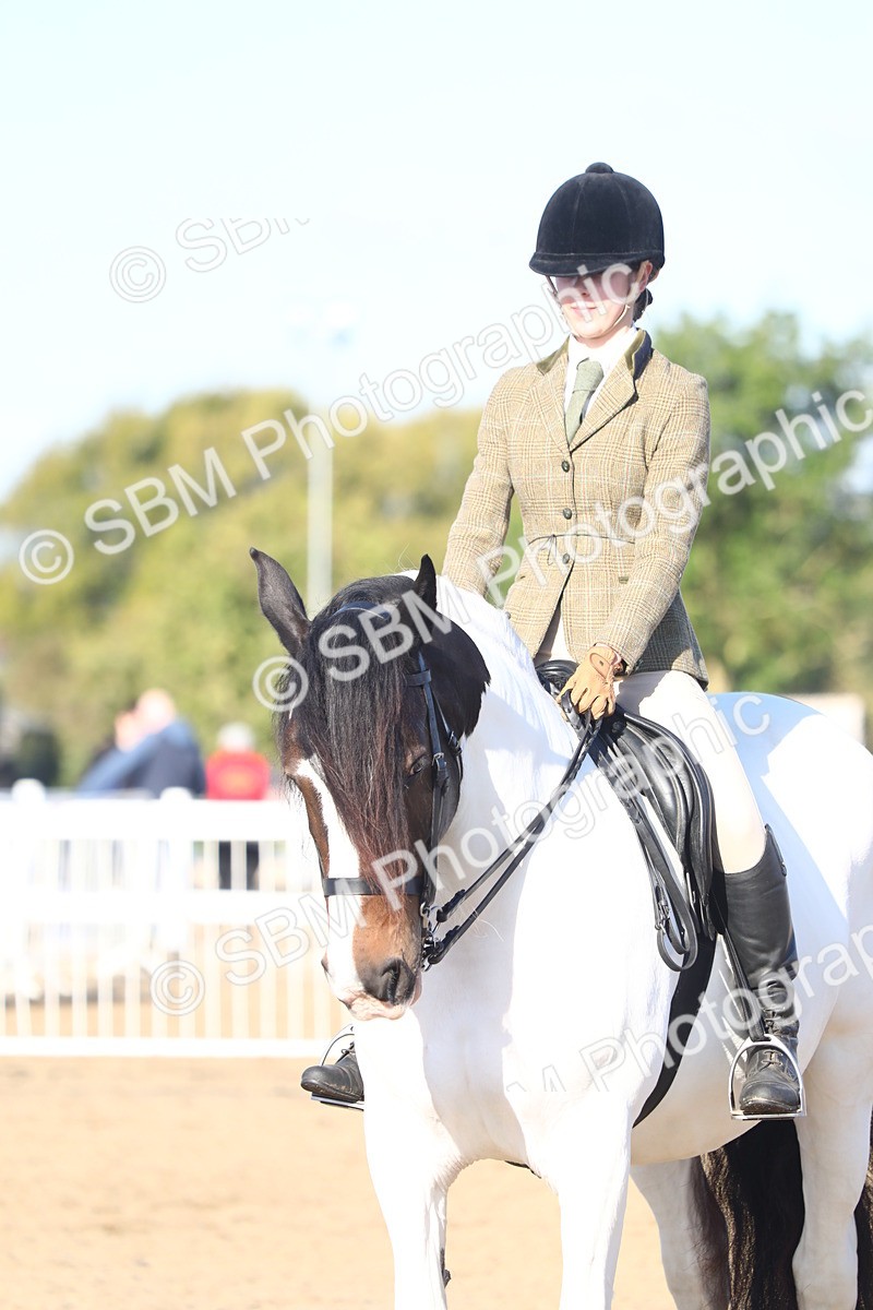 SBM_08576 - Class 502 - Riding Club Horse