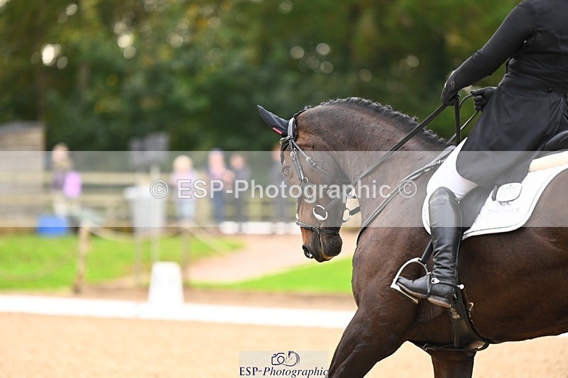 231020-154341-12086 - 318-KILTEALY.PROPHET-Alice.Dunsdon-DR