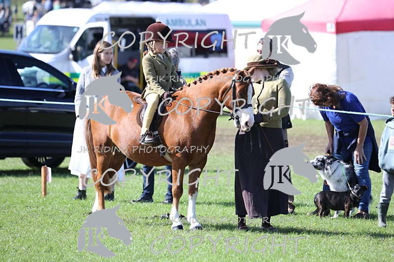 APP_3841 - Class 13 Lead rein