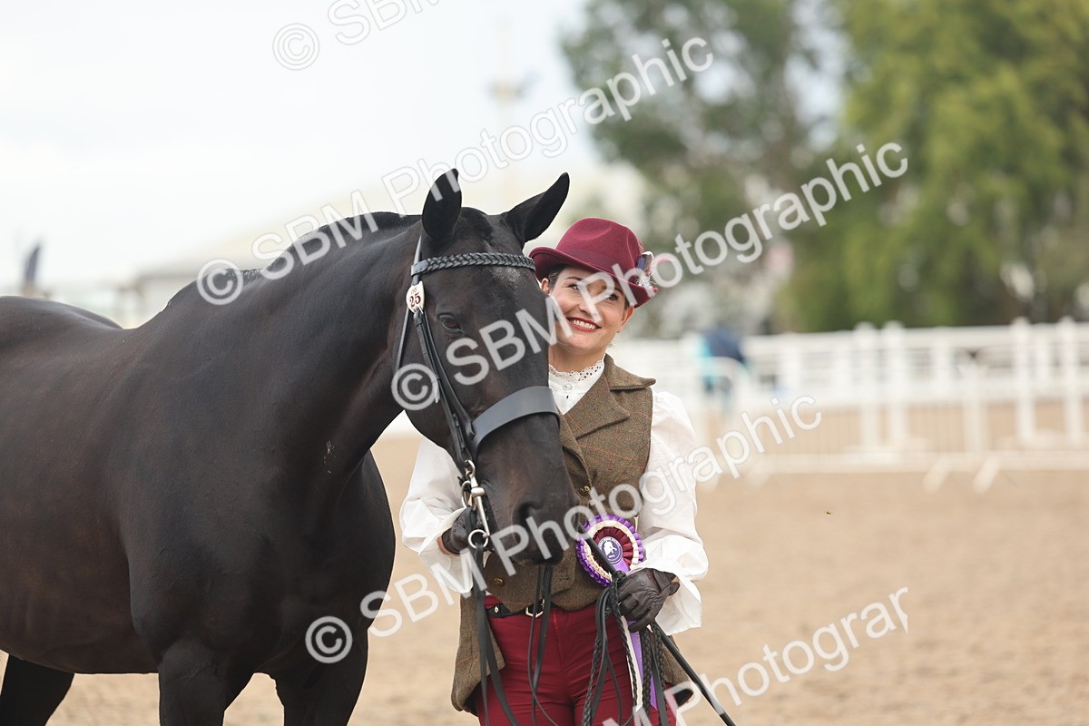 SBM_07956 - Class 28 - IH Veteran Horse