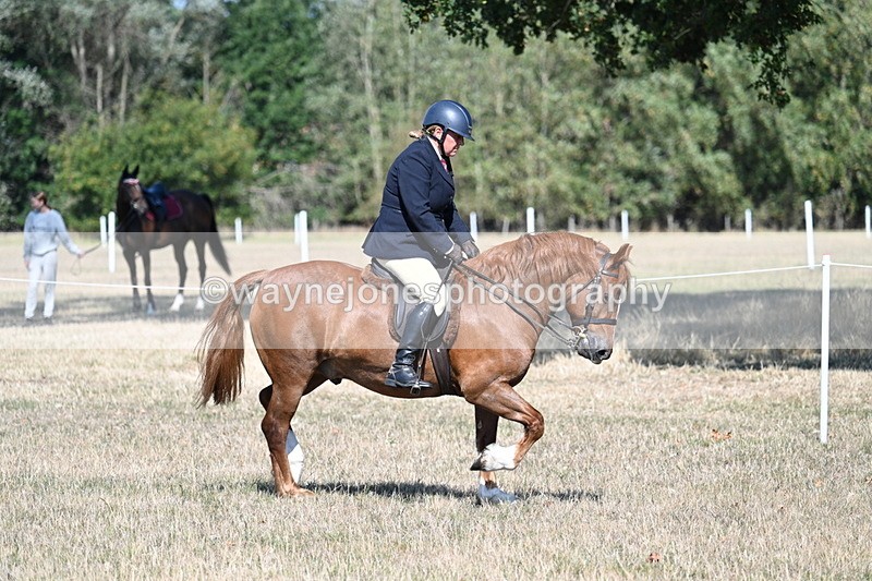 WJ7_3843 - Class 9 Mountain & Moorland Ridden