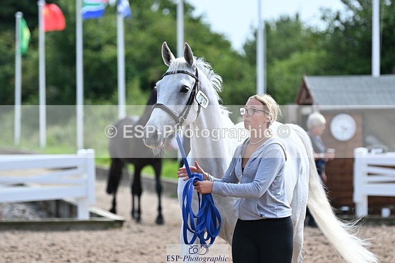 240717A-161525-03385 - Trot Up 4pm to 5pm