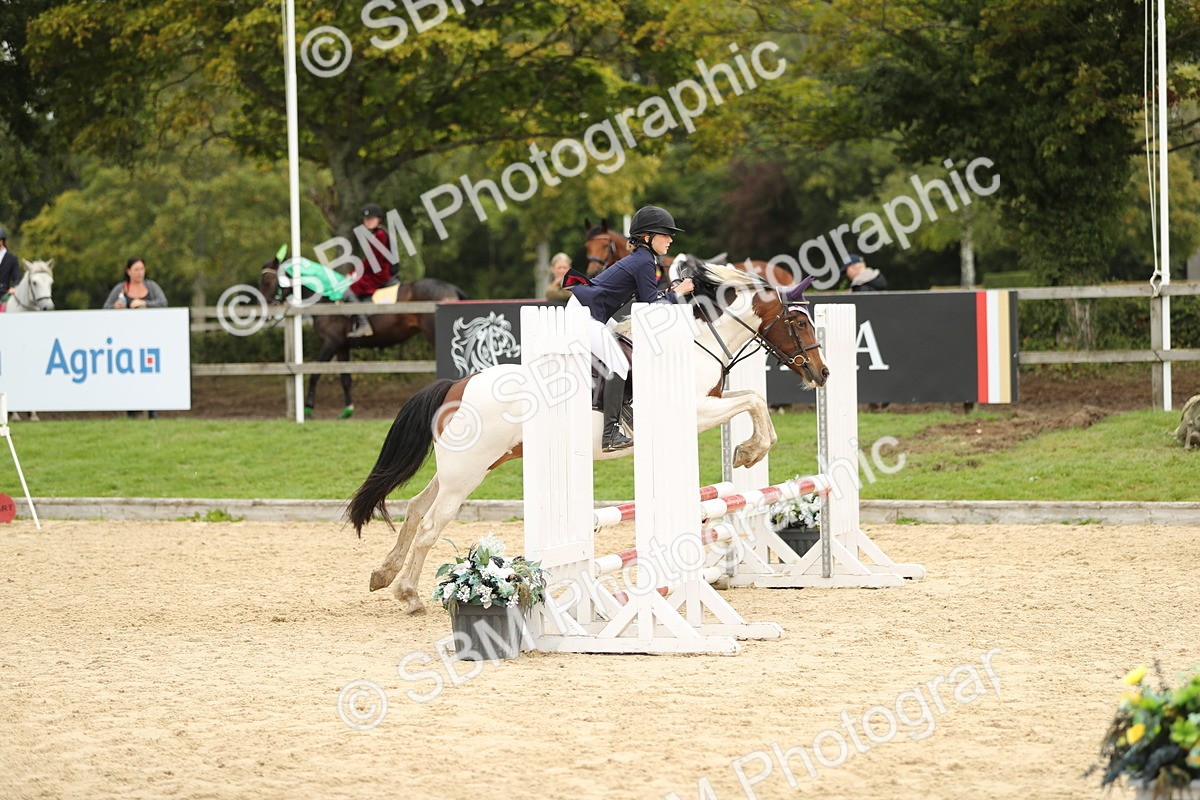 SBM_65658 - J48 - Pairs Jumping Open 70cm & 85cm
