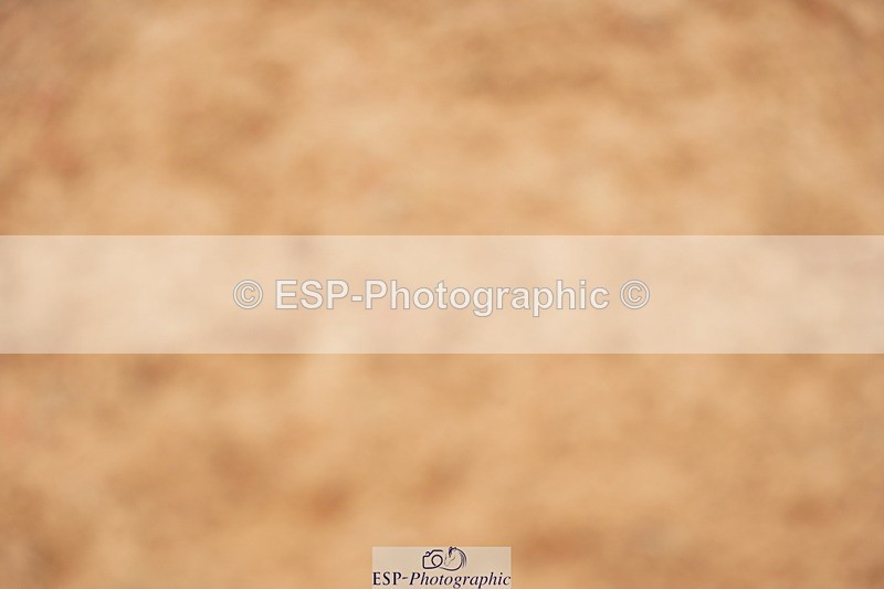 240526A-120220-07927 - Cls 26 Chard Equ 1.05m and 1.10m Grand Prix