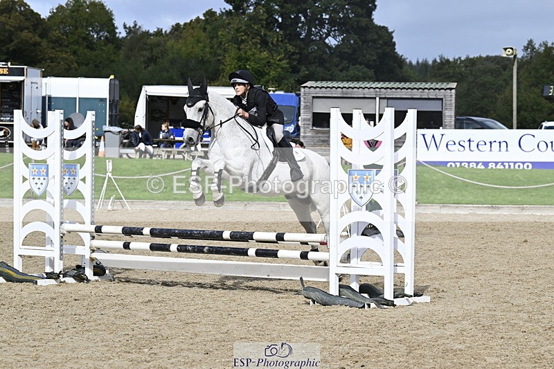 251005A-130920-04080 - Cls 08 Mini 70-75cm