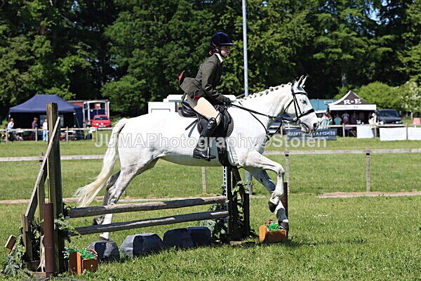 IMG_3969 - Working Hunter