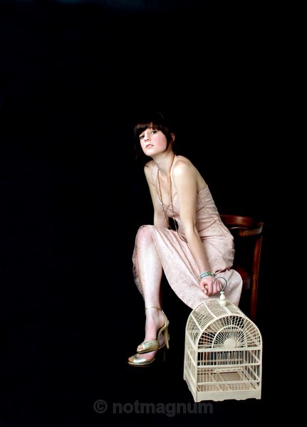 Bird on a Chair - STUDIO