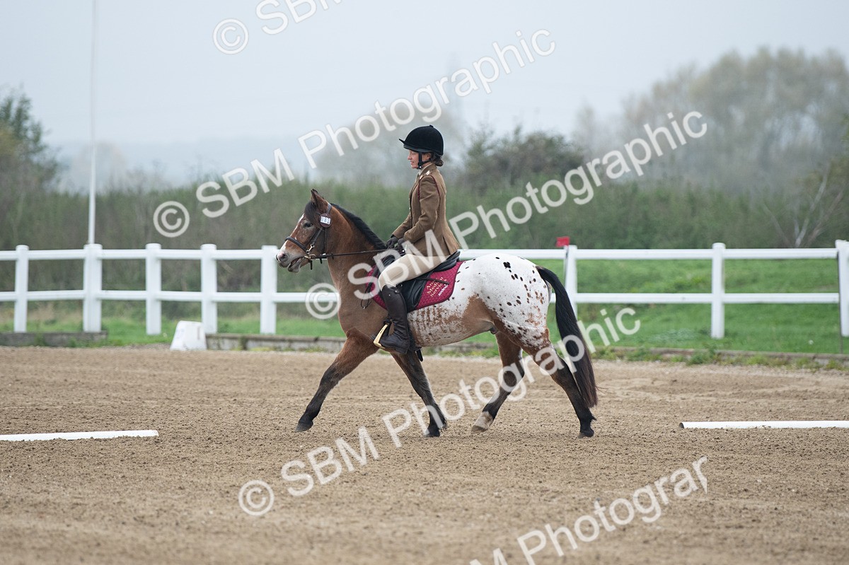 SBM_003401 - Introductory Test 3