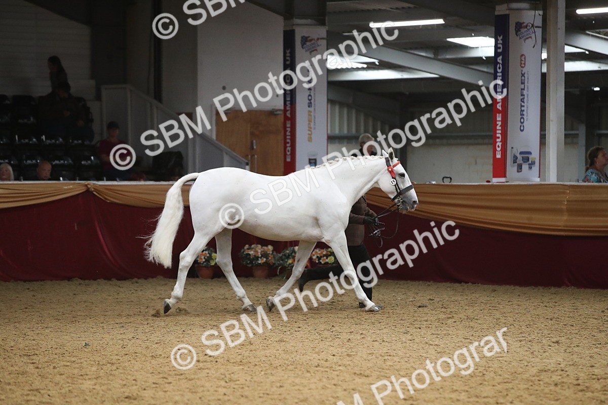 SBM_05713 - Class 9R - Regional IH Pre-Vet