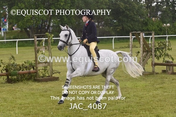 JAC_4087 - 40CM WORKING HUNTER