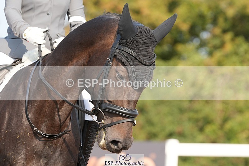 250817-093633-07580 - 094-Alicia.GriffithsSeagry.Danita