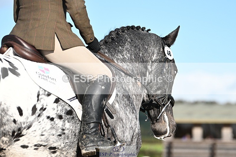 231105-120550-01547 - Cls 2 Prelim 7 11.16 to 12.35 break
