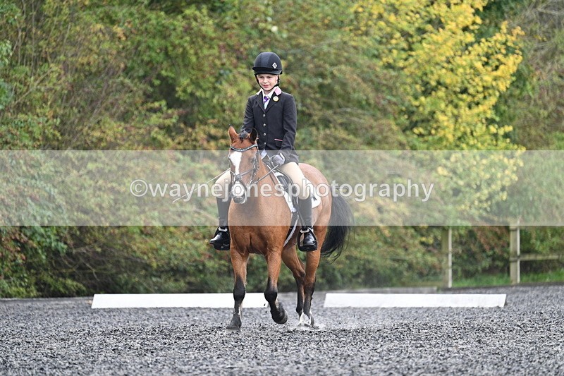 WJ7_3950 - Time 11:04 to 11:38