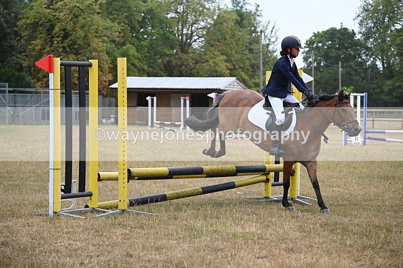 WJ6_0009 - Class 13 Novice Jumping 60cm