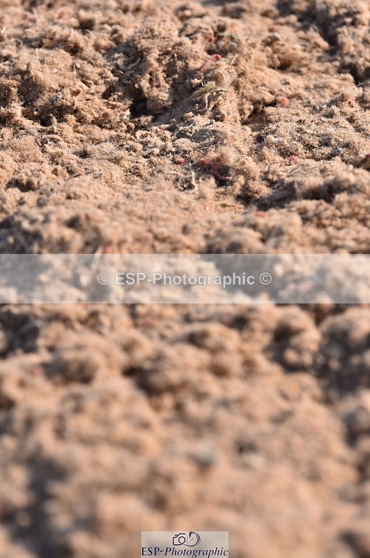 230606A-175554-00241 - 90cm