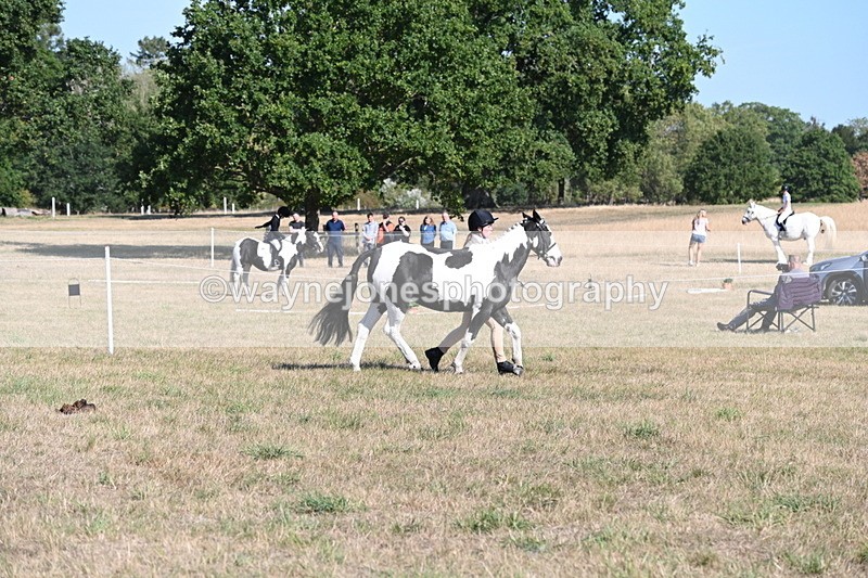 WJ6_7242 - Class 33 Rescue Pony