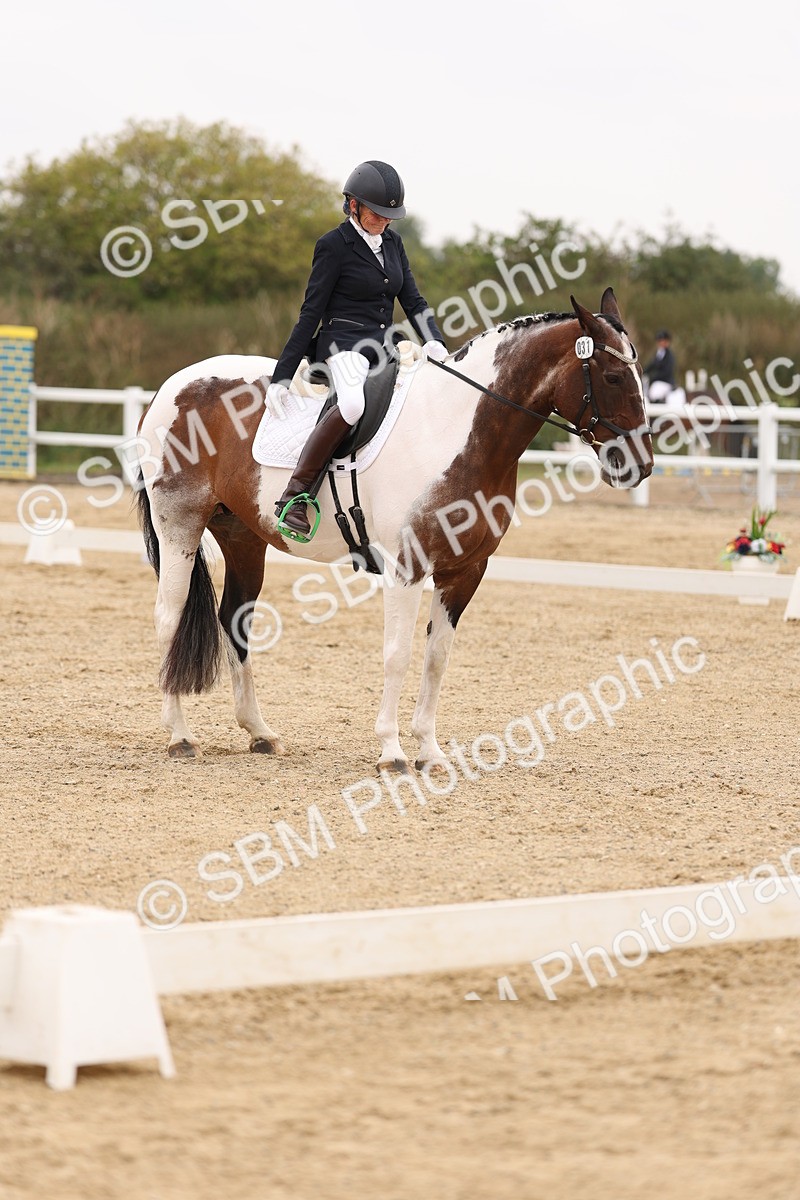 SBM_01682 - Class 9 - Novice 27 Champs