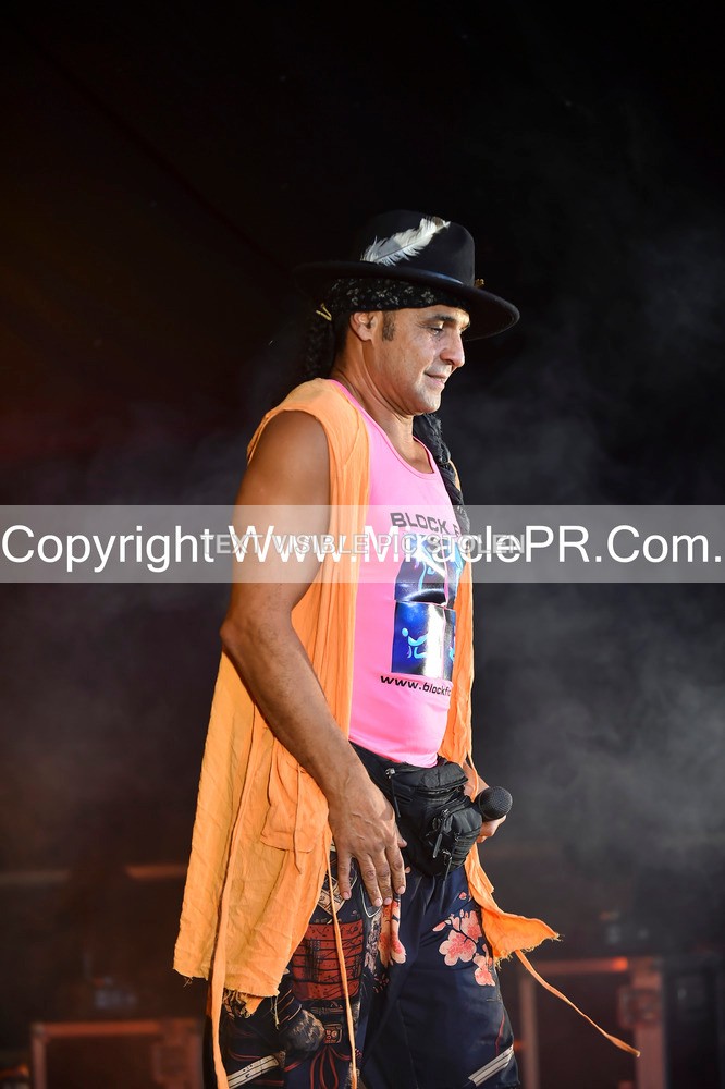 SH4_4362 - Chico
